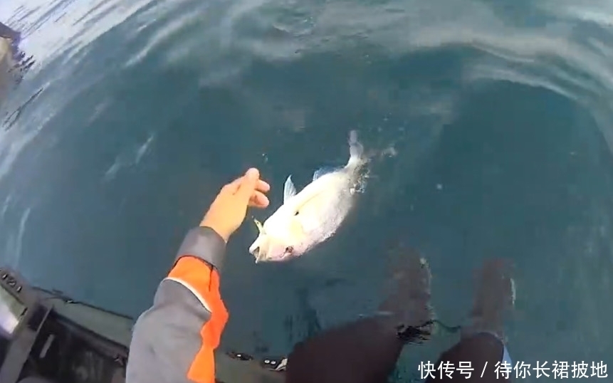 没想到|男子钓鱼时沉醉于美景,没想到收获这样的喜人大家伙!