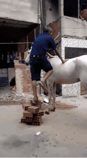 |搞笑GIF:这才是真坑!人没事吧!