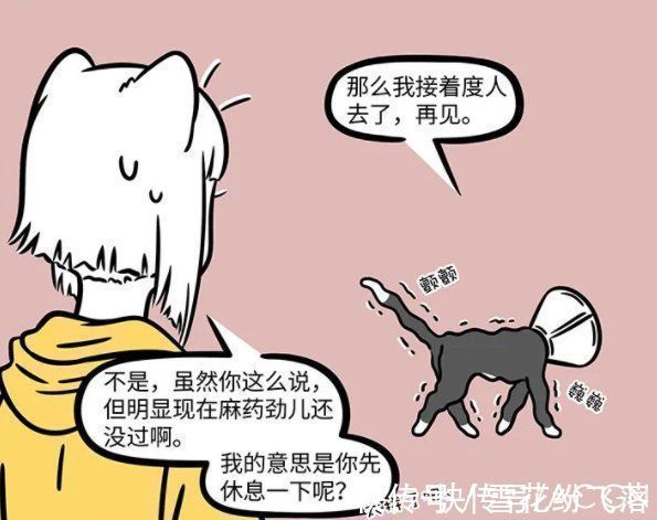 狸力|非人哉:大士真的太善良了,化身成猫被绝育了,依然不忘普度世人