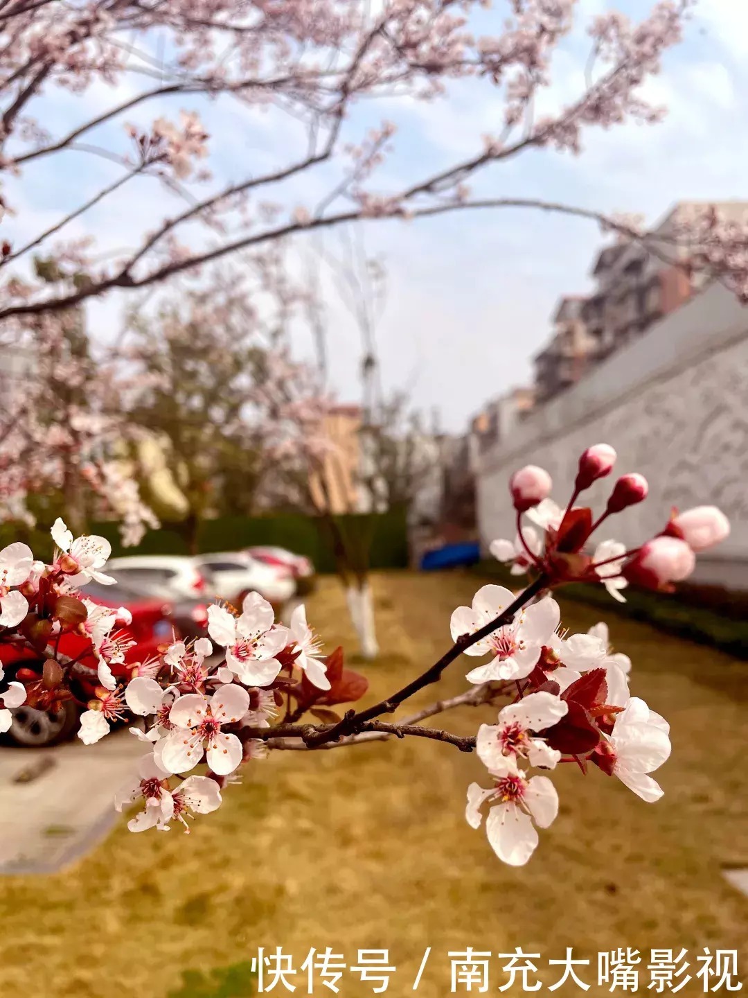 春回大地，邂逅龙湾·凤凰台