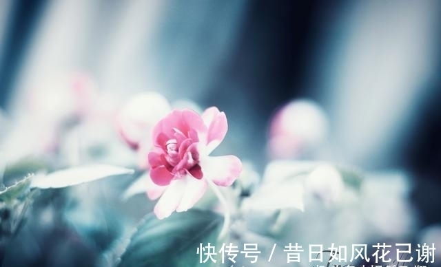 颜值控|桃花逆袭，再遇旧爱，挽回旧爱，相约白头，余生相濡以沫