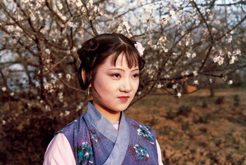 凤姐|为何说黛玉比宝钗更适合管家？你看她管丫头的手段，比宝钗强多了