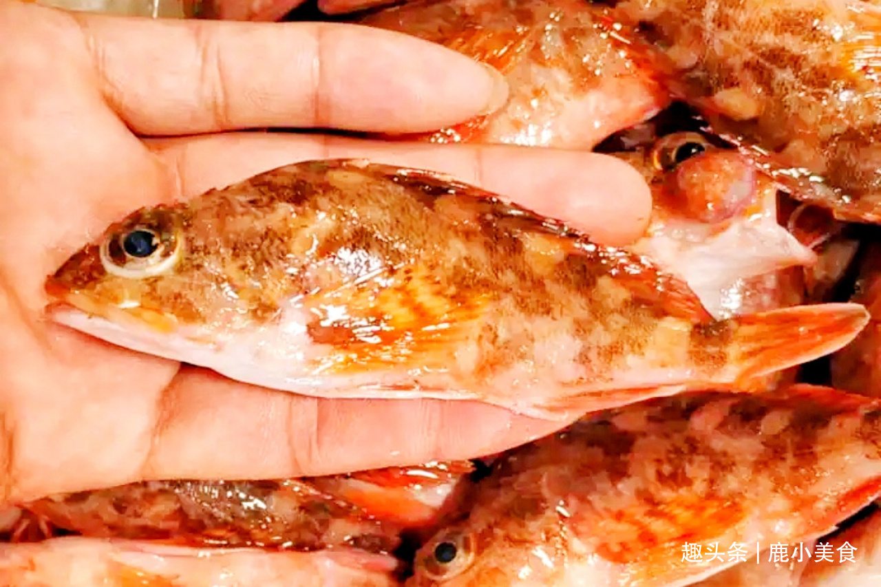 买海鱼，懂吃人专挑6种鱼，都是纯野生无法养殖，好吃不贵还营养