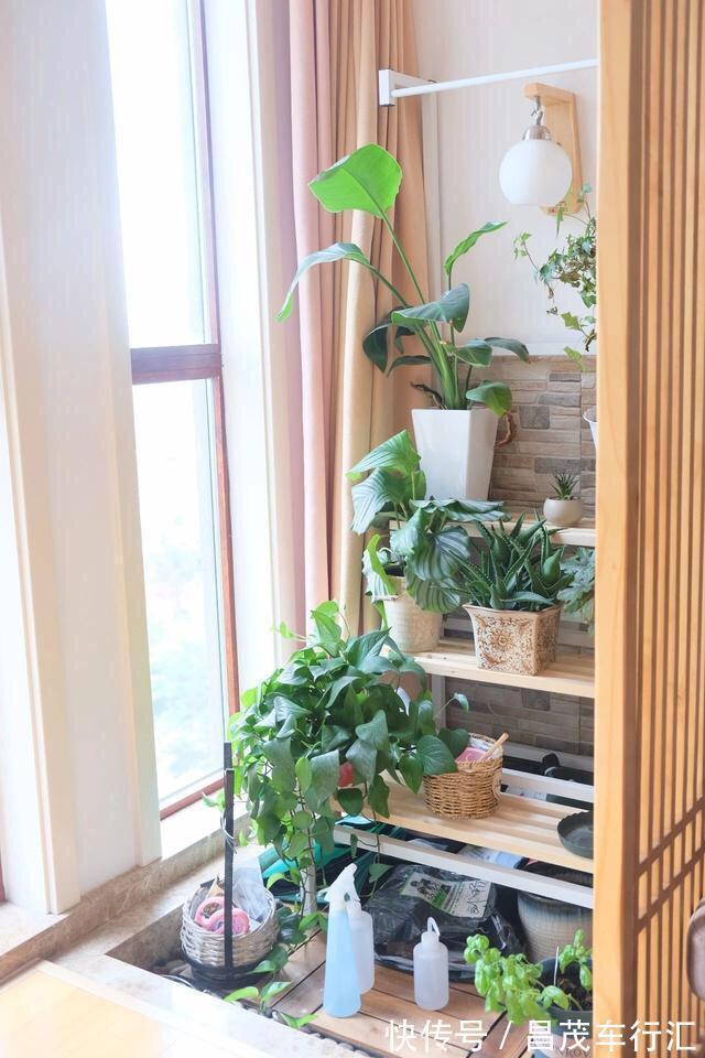 新房|这对95后小夫妻，不顾家人反对，坚持将新房装修成日式，效果超赞