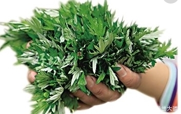 农村一种不起眼的野草,现如今随着人们对它的了解,变得金贵了!