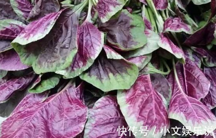 木耳|孕妇最好少碰,这四种蔬菜,会“伤害”胎儿健康