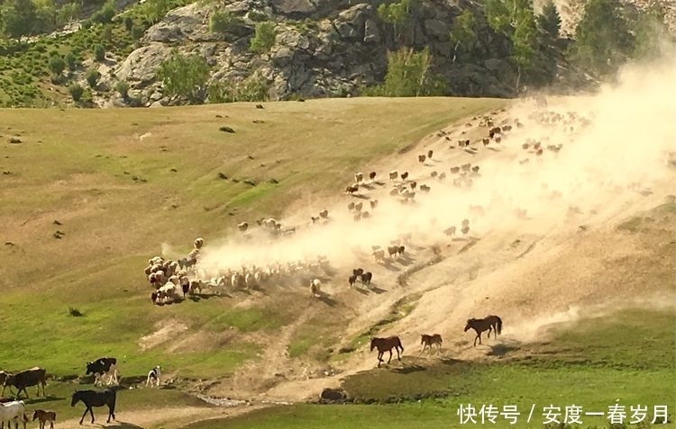 哈萨克|草原上的生命大迁徙哈萨克转场