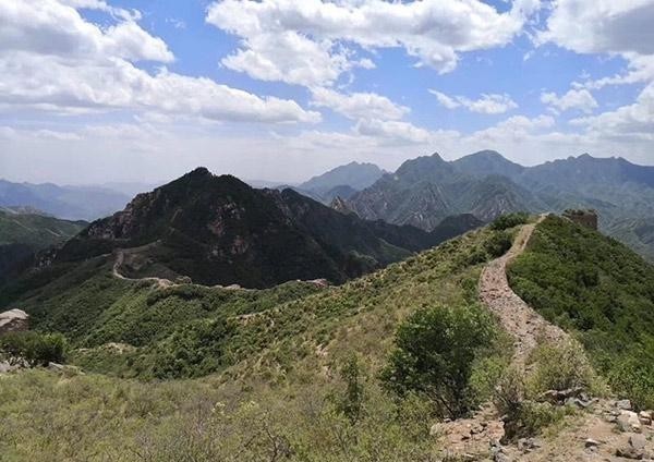 方式|李睦:在描绘色彩的过程中逐渐“觉醒”