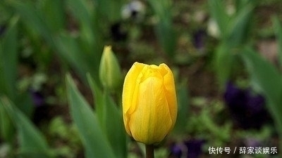 9月运势将会举世无双 天上掉喜 地上生财 3生肖备好麻布袋装钱 快资讯