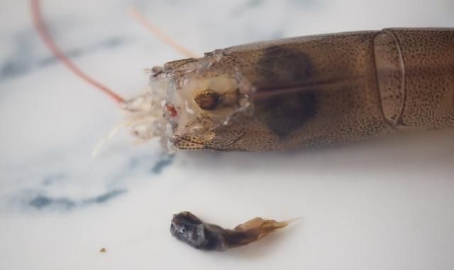 虾头不要扔这么做变废为宝,还鲜香的差点让人闪了舌头