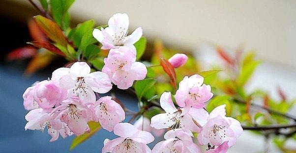 感事|唐诗中最有智慧的一首诗,看透人性!