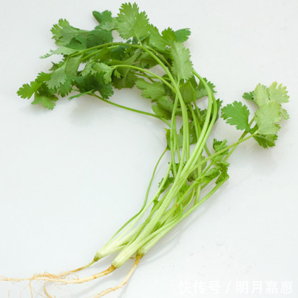 睡眠质量|胃不好都是“自找”的,胃炎的“良药”,帮你养胃护胃,摆脱胃炎