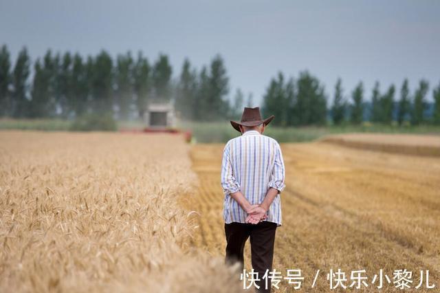 学区|年轻父母想给孩子买学区房,却遭到老人反对,买学区有必要吗?