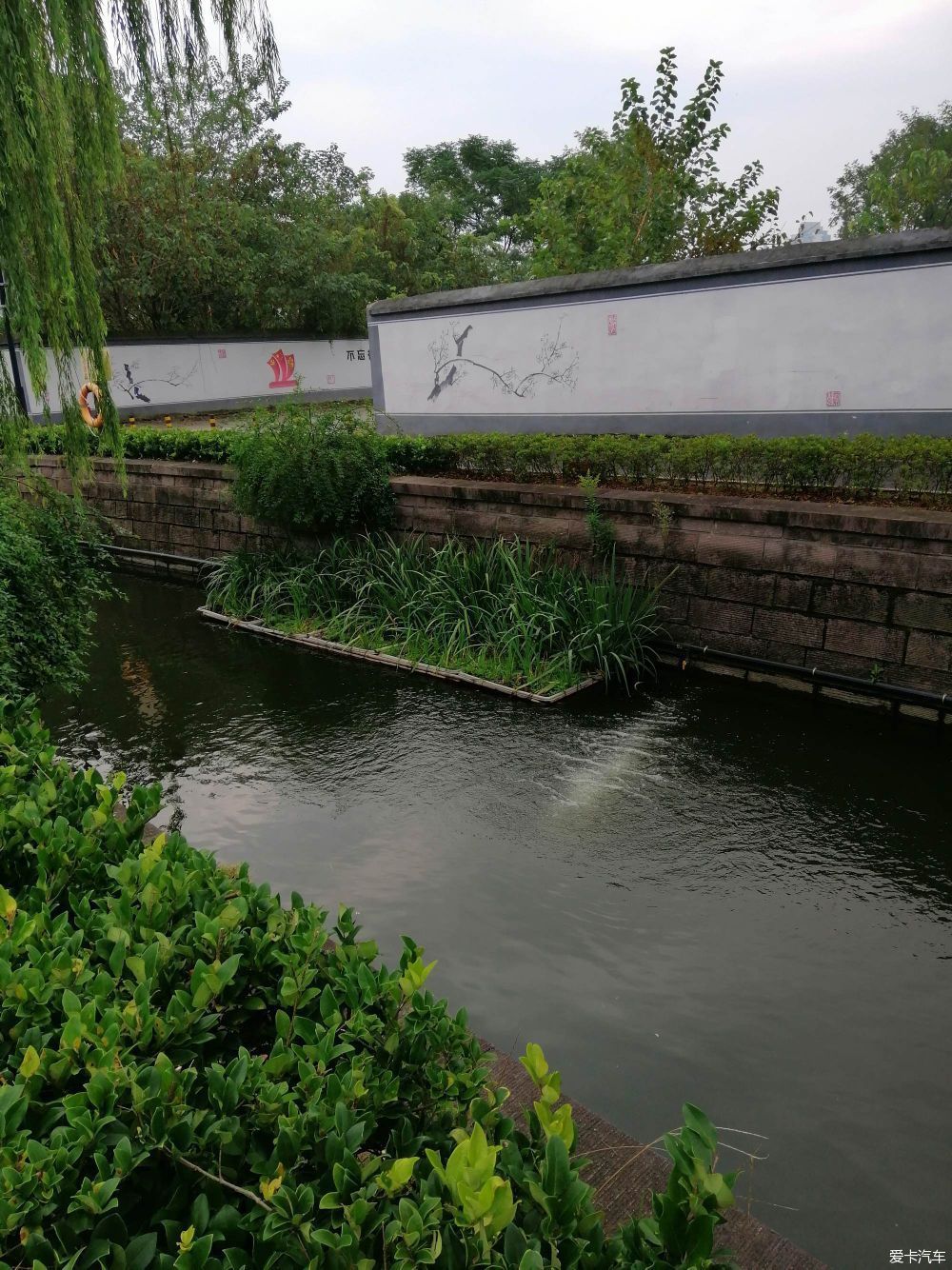 地标|晨游月湖园，误撞童槐家