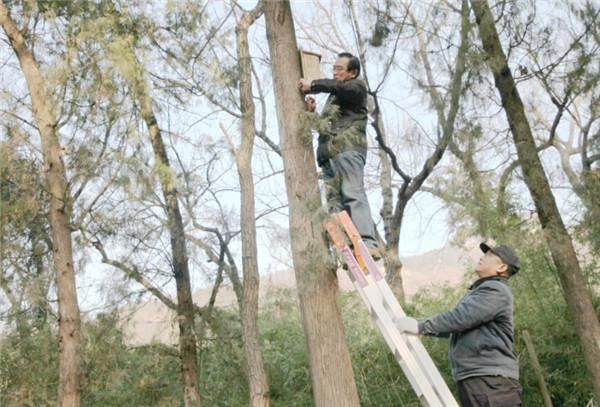 一年新增13种，泰山野生鸟类增至346种