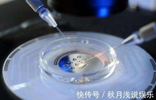 试管婴儿|做试管婴儿究竟有多疼?看完才知道当妈妈多不容易,赶紧孝顺吧!