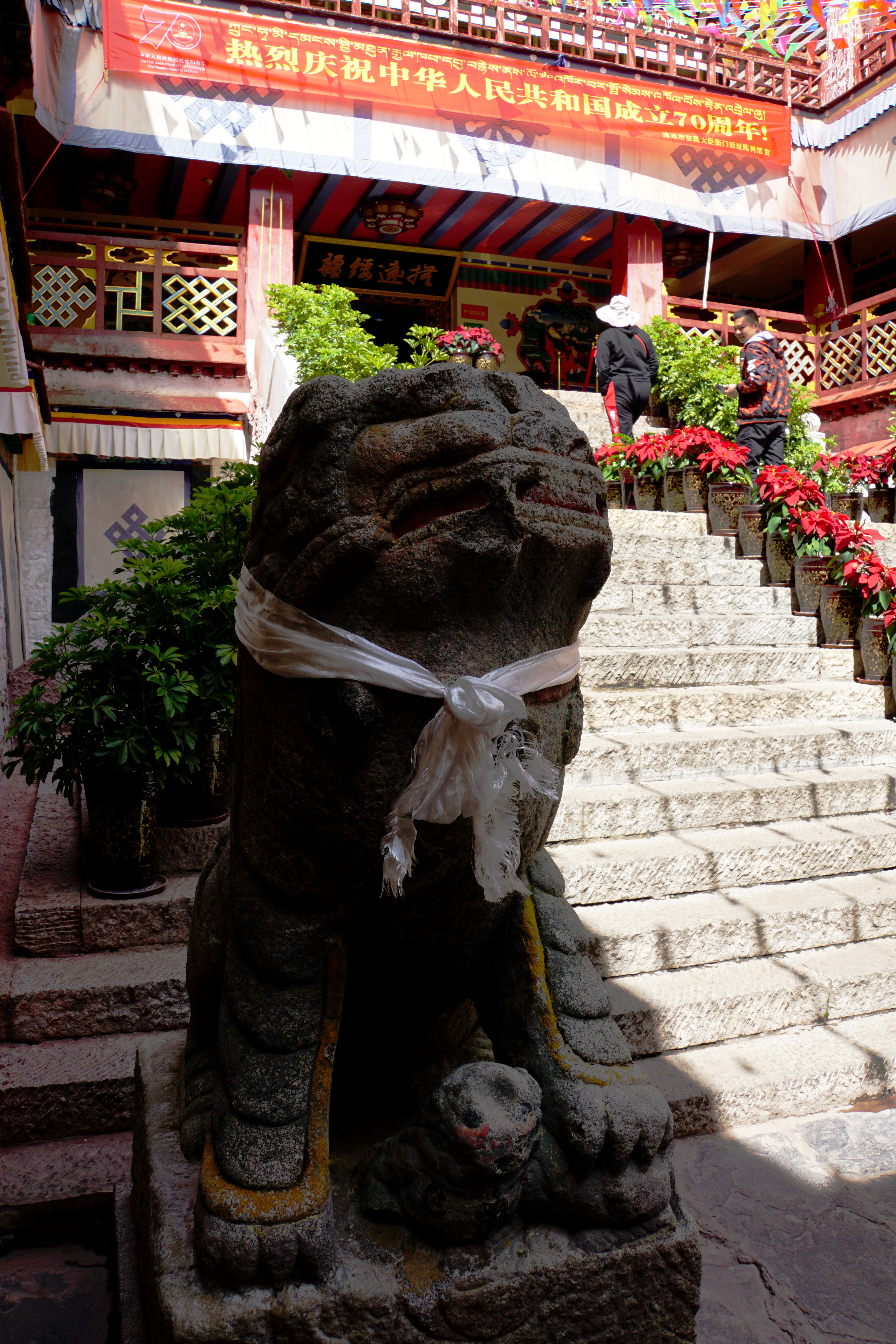 大昭寺|【80天单人单车环藏之旅】观览佛教圣地大昭寺，八廓街猎摄盛装美女