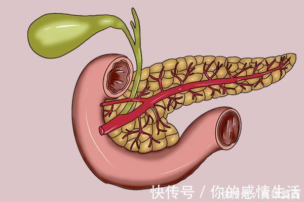 高手|激活胰岛素的“高手”,并非苦瓜南瓜,而是1件事,糖友要记住