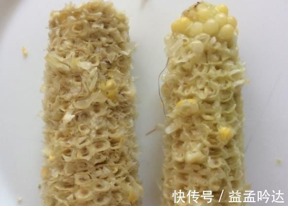 “玉米棒”还在扔往盆里一塞,等于“促花激素”,花开爆不停