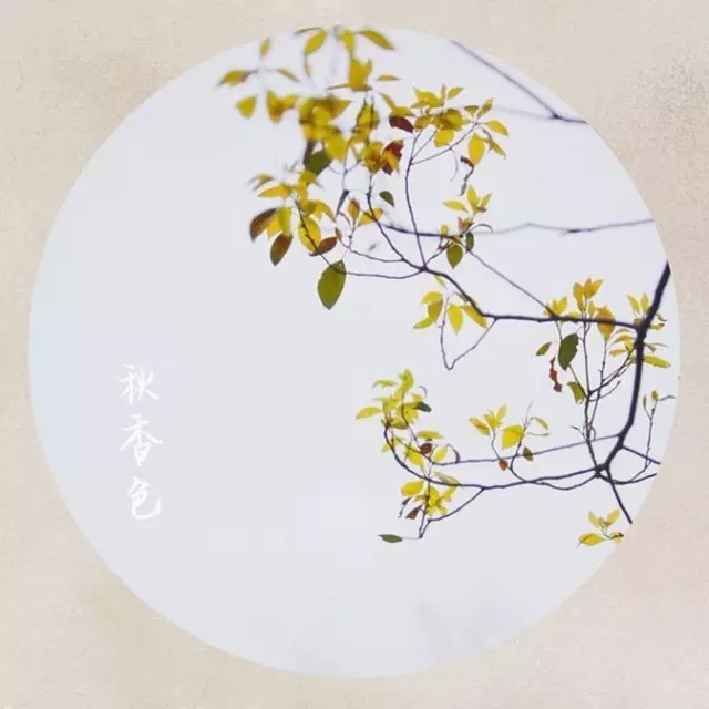  不知|金庸：情不知所起，一往情深