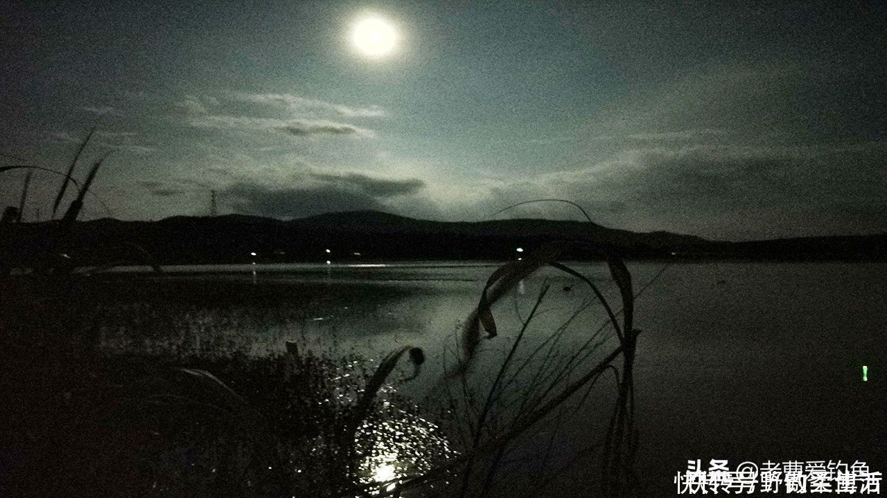 脚脖子|3段亲身经历,提醒钓友们,不要一人独自夜钓