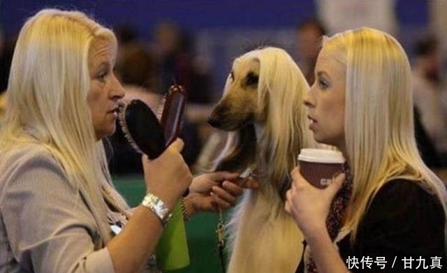 撞衫|千挑万选买了一件衣服,开开心心穿在身上,结果一出门就尴尬了!