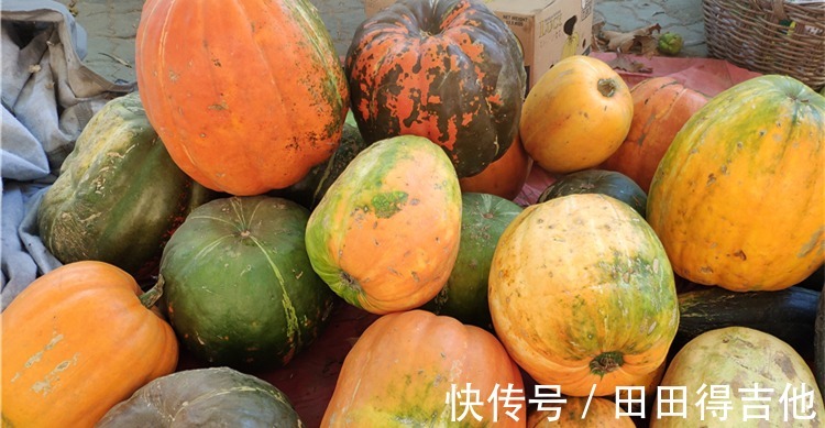 秋食南瓜好处多,7种南瓜的做法,道道都好吃,比吃大鱼大肉强!