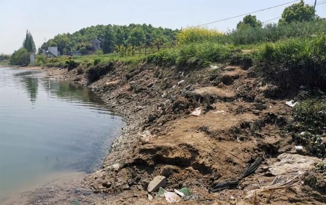 专家一天钓上千斤鱼很正常;钓鱼人你钓给我看看