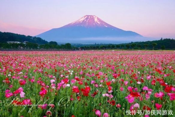 让人挪不开眼！日本富士山的四季美景 绝美风光一览