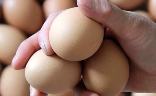 煮鸡蛋不要再直接下锅了,学会正确方法,鸡蛋又香又嫩好剥壳