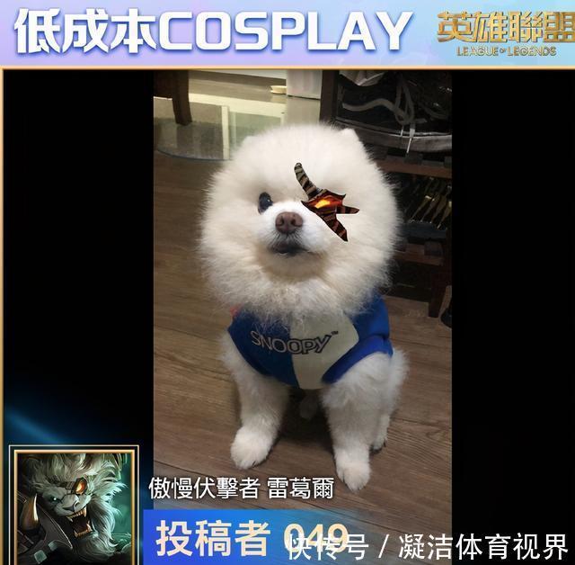 猪妹|LOL台服举办低成本COS大赛,猪妹Cos杀死比赛,悠米本体出现了?