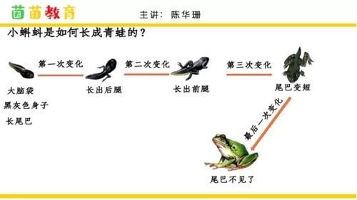 寒假预习，做思维导图和不做思维导图，最大的区别是什么？