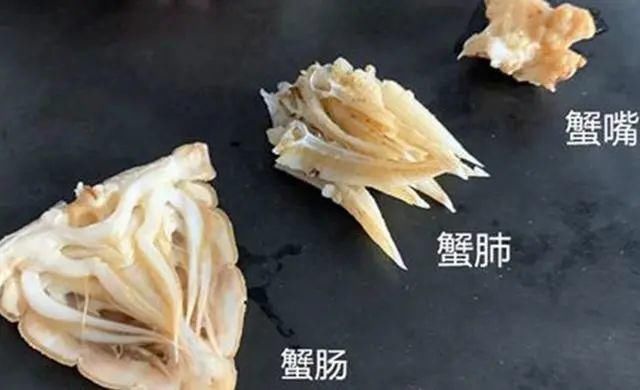 秋老虎|蒸螃蟹时,直接上锅蒸就废了多加这1步,蟹肉鲜嫩入味不流黄