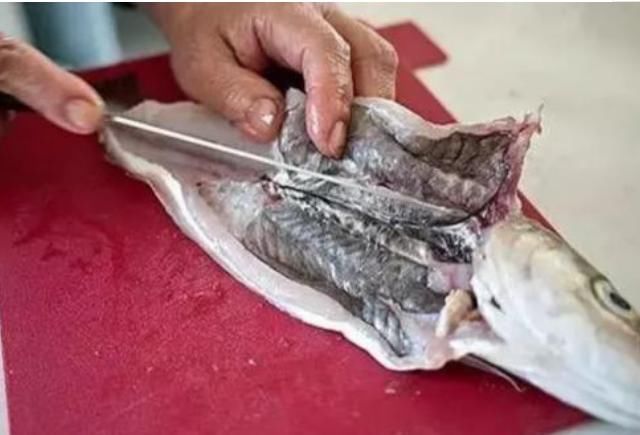 肚子|只要在鱼肚子里看到这东西,立马停筷,小心引发胃穿孔,肚子长虫