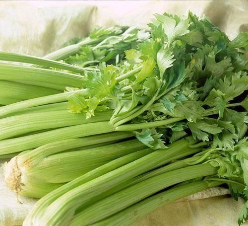 芹菜子|芹菜和此物是“死对头”, 千万不能一起吃, 别傻傻的吃错了!