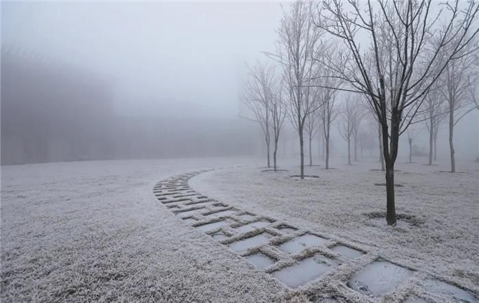 中年|东阿阿胶迎来新年第一场雪