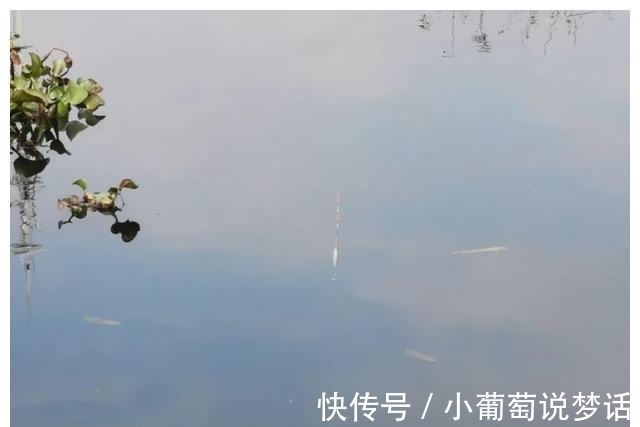 子线|冬钓的线组:从鱼线的选择、子线的长短以及钩号的搭配都在这