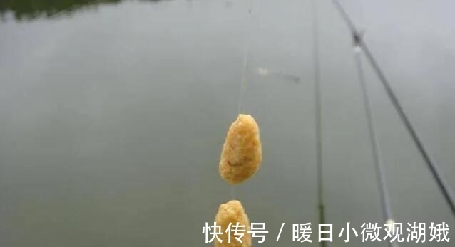 夏天|别再相信蚯蚓是万能饵了，夏天这样用饵，渔获少不了