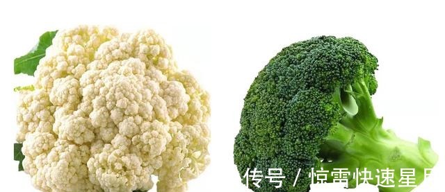 肉末|冬天多吃这6种食物,孩子少生病身体棒,有钱没钱都要常备一些!