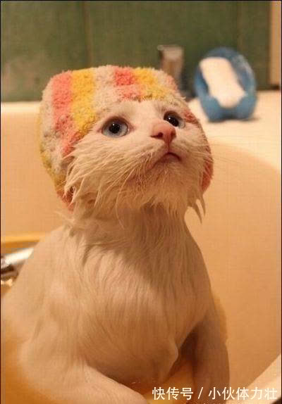 |爆笑幽默:奶奶是自己班主任,常常跟奶奶在班上顶嘴,直到有一天