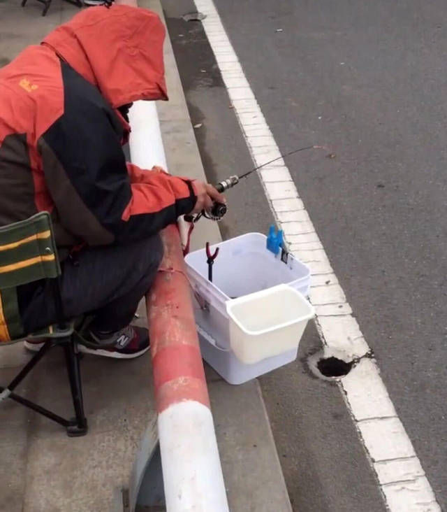 城里的钓鱼人有多疯狂,桥上排水孔里钓鱼,最多一天钓5斤