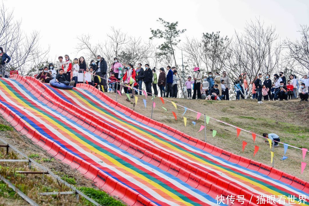 大年初一 成都秀丽东方依然花开成海，美如仙境！游人如织！