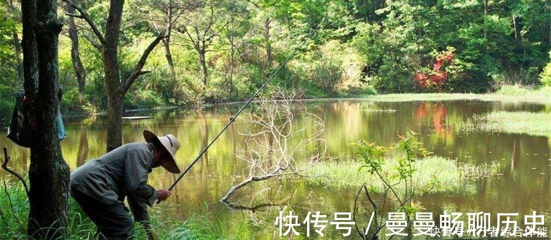 水草|老话讲“钓鱼要钓草,不然要白跑”!但这4种水草钓也白跑