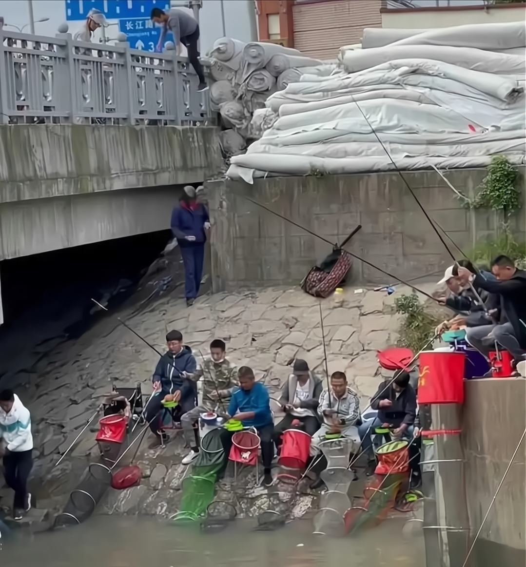 上海与众不同的“黑坑”,钓鱼不要交费,每天都有成百上千人聚集