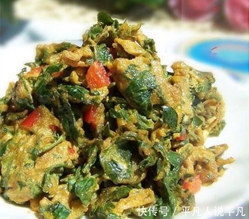 痰湿|韭菜茴香靠边站,它才和鸡蛋绝配,健胃散寒,化痰湿,比香椿好吃
