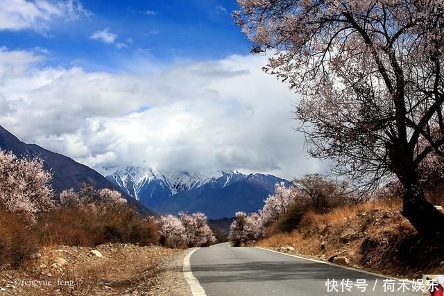 波密桃花开当桃花与雪山相遇，便成为云上仙境