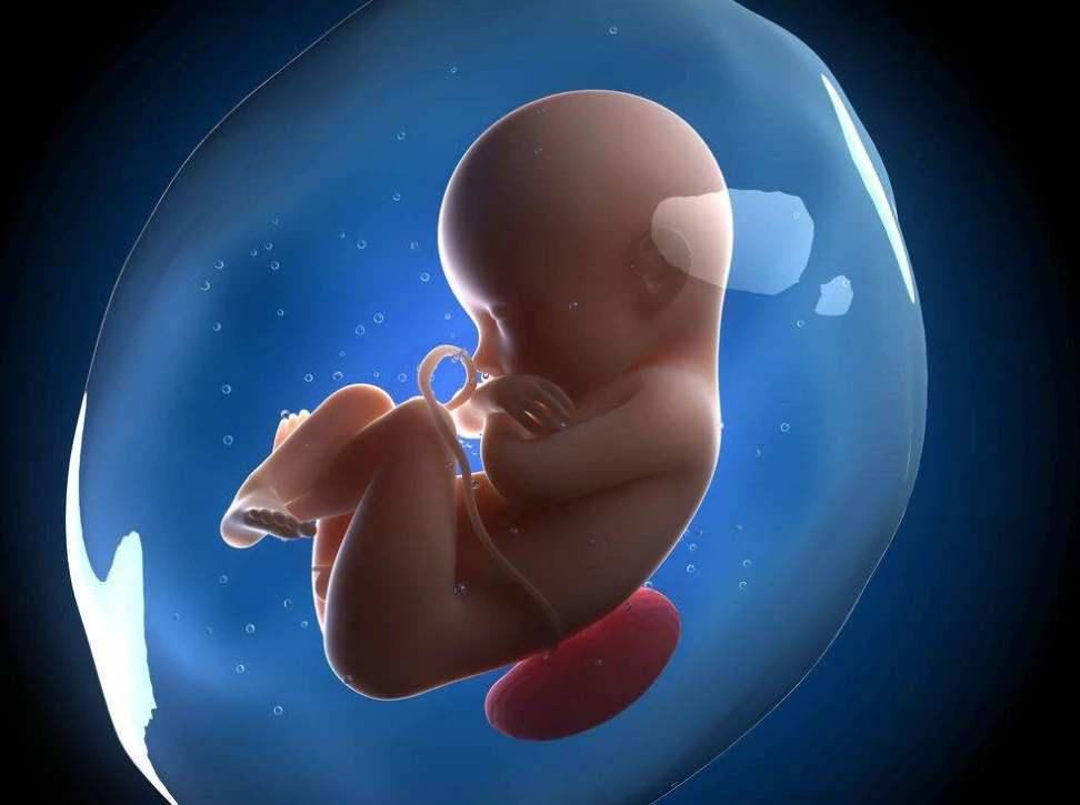 胎丸|转胎丸：生育史上的最大骗局