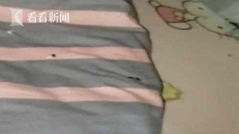 女生宿舍睡觉摸到一只老鼠 掀开床单全是“屎”