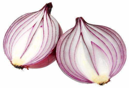 洋葱,饵料界的新宠,用此物开饵,冬天钓鱼不愁鱼不进窝