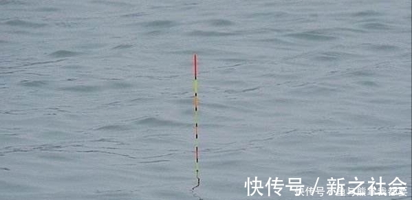 浮漂上顶很清晰,提竿就是没有鱼,这五种原因皆有可能